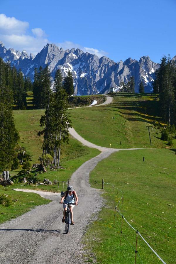 Pension Edelweiss Top21 Gosau Bagian luar foto