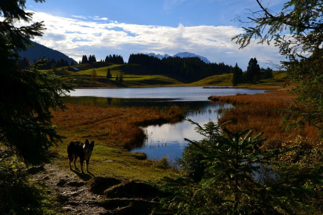 Pension Edelweiss Top21 Gosau Bagian luar foto