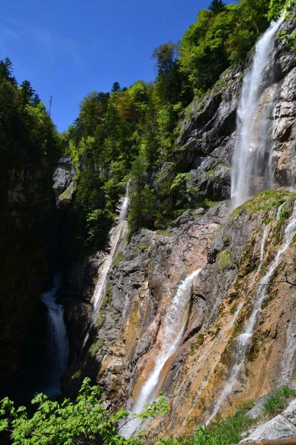 Pension Edelweiss Top21 Gosau Bagian luar foto
