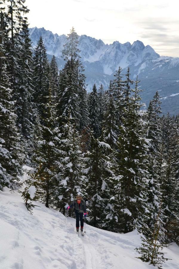 Pension Edelweiss Top21 Gosau Bagian luar foto