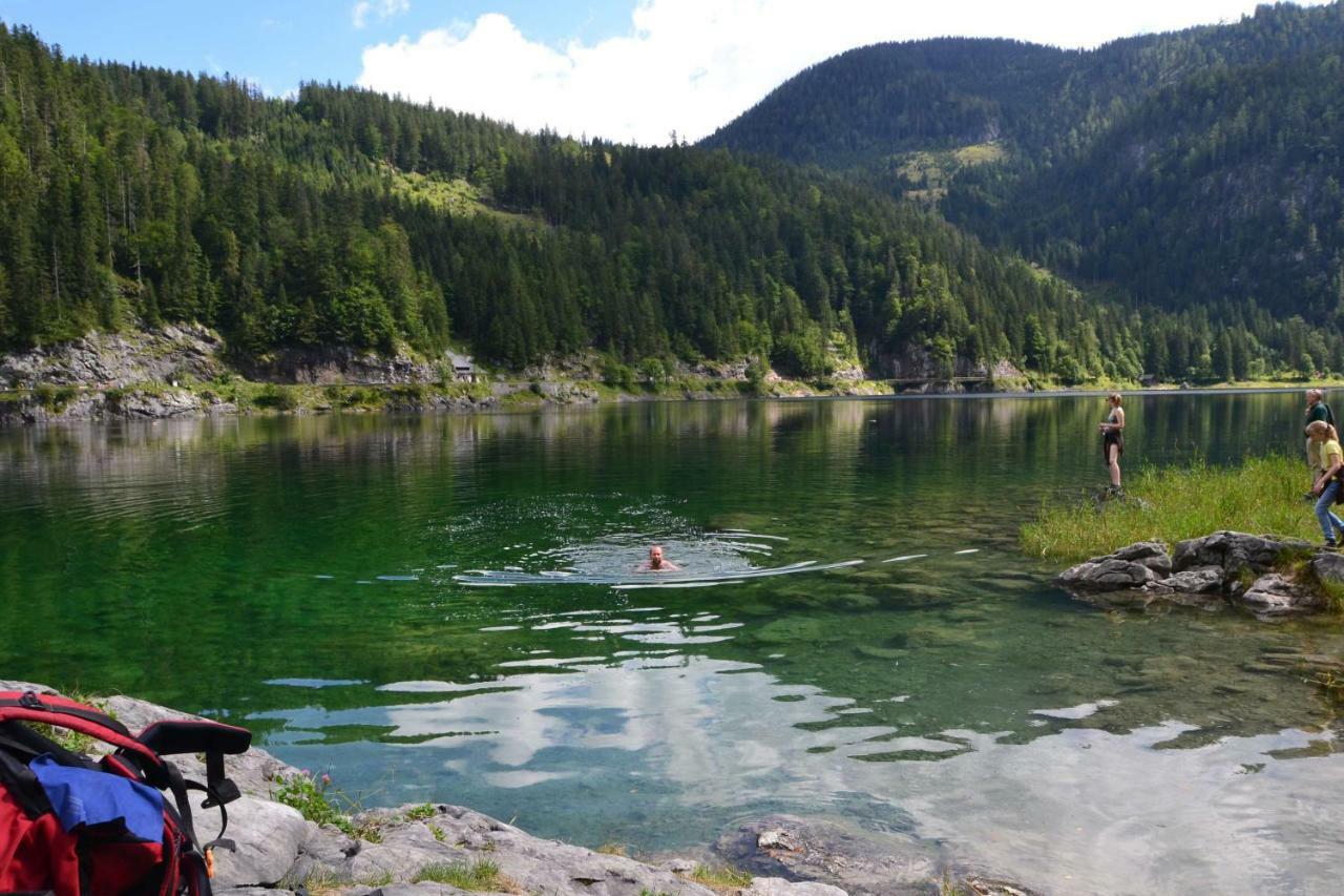 Pension Edelweiss Top21 Gosau Bagian luar foto