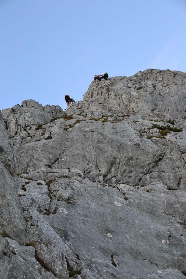 Pension Edelweiss Top21 Gosau Bagian luar foto